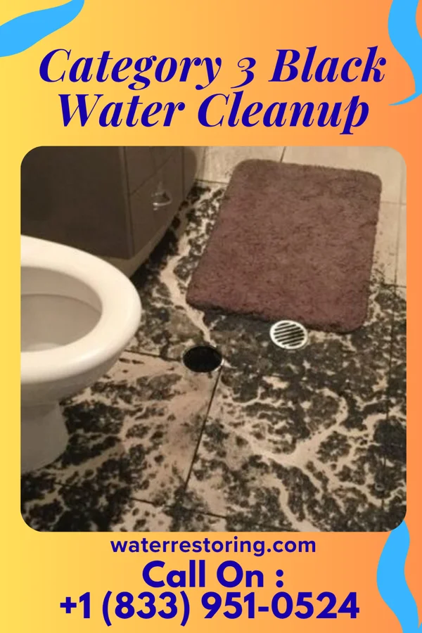 Category 3 Black Water Cleanup in Rolla, ND