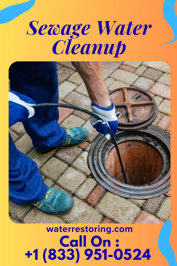 Sewage Water Cleanup in Rolla, ND